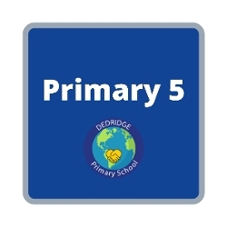 Primary 5