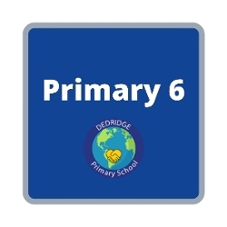 Primary 6